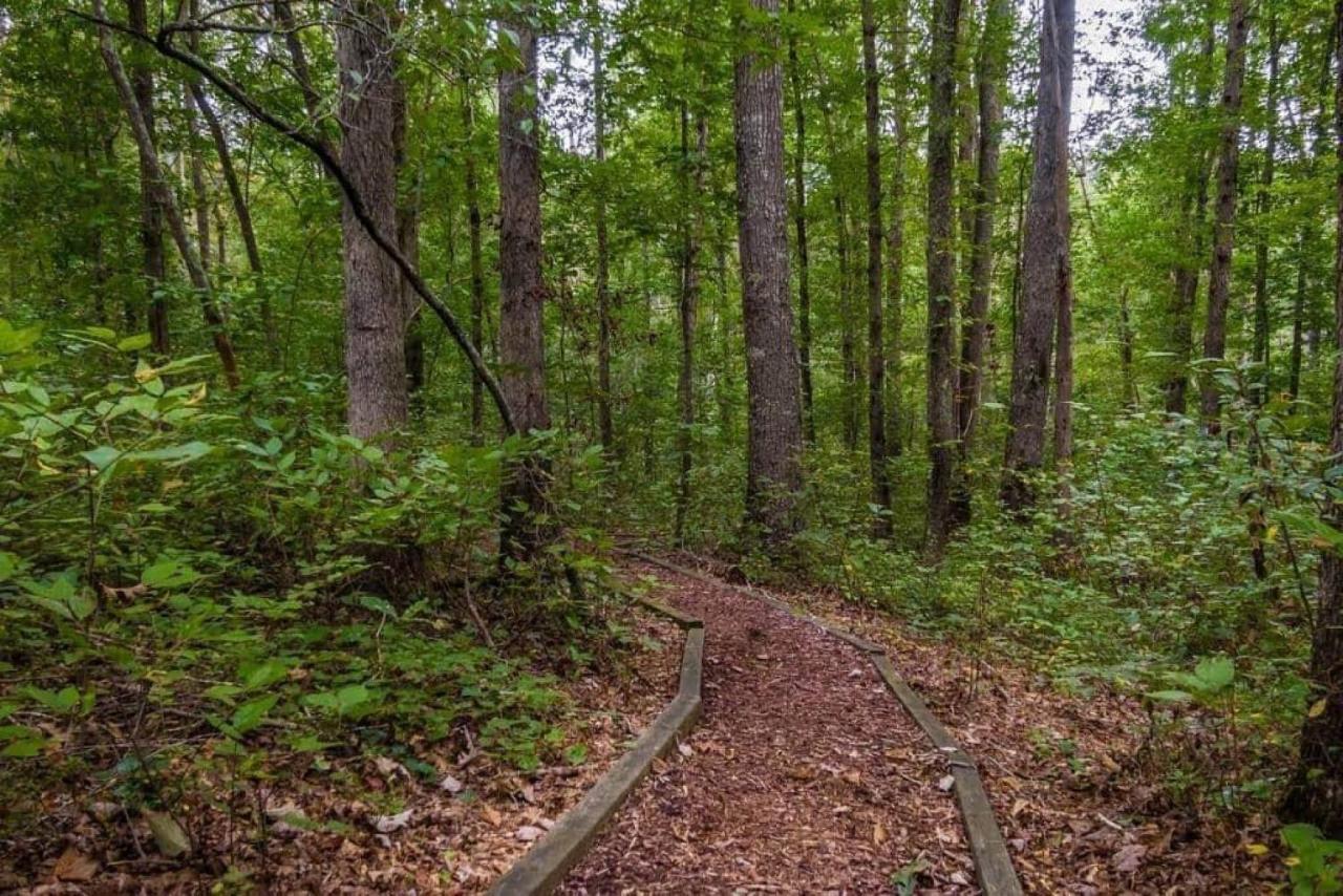 Peaceful Hideaway Treehouse Near Little River Canyon Villa Fort Payne Exterior photo