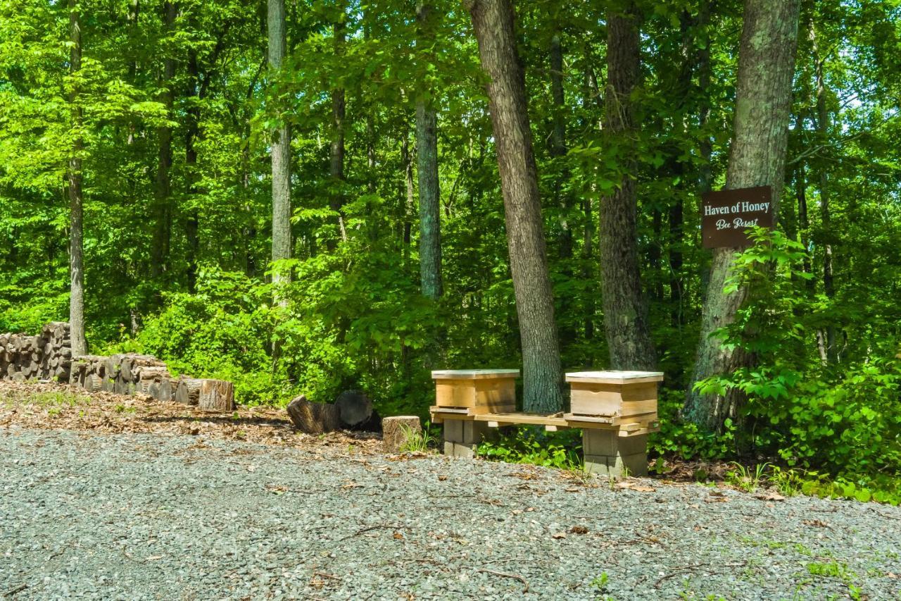 Peaceful Hideaway Treehouse Near Little River Canyon Villa Fort Payne Exterior photo